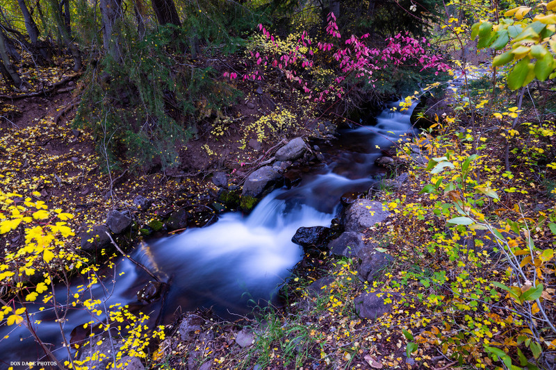 Creekside in the Fall.jpg :: Standing by a Creekside in Autumn is a magical time of year.
The sound of the water as it rolls over the rocks and tree branches.
The multitude of colors of the foliage along its banks.
The smells of the forest, fresh from the first dusting of snow from the night before.
The moisture of the ground cover softening each step you take.
Taking in each moment here with me to refresh this great life.
This place will stay with me often.  Captured in my mind for eternity.
