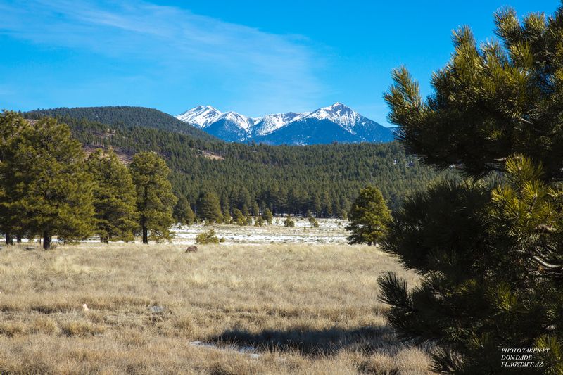 Flagstaff.jpg
