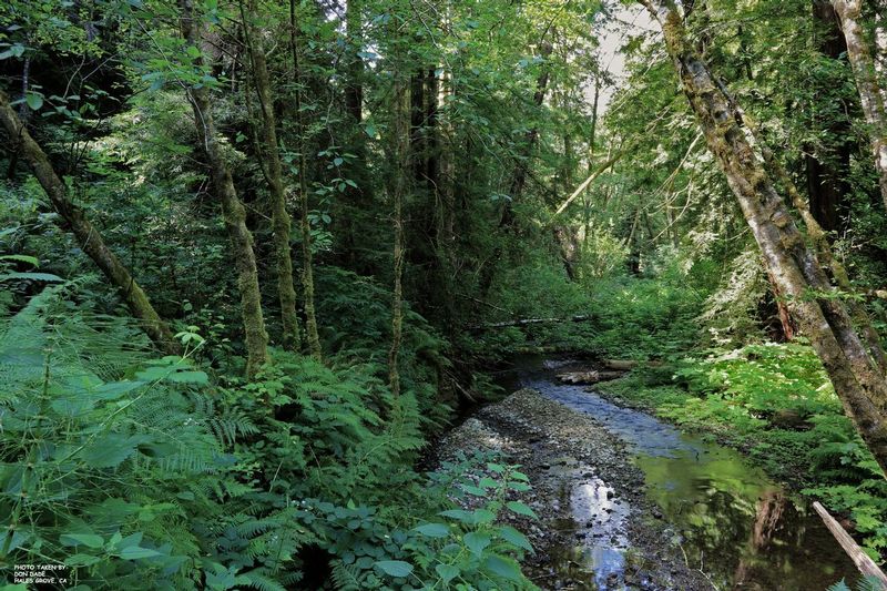Hales Grove California.jpg