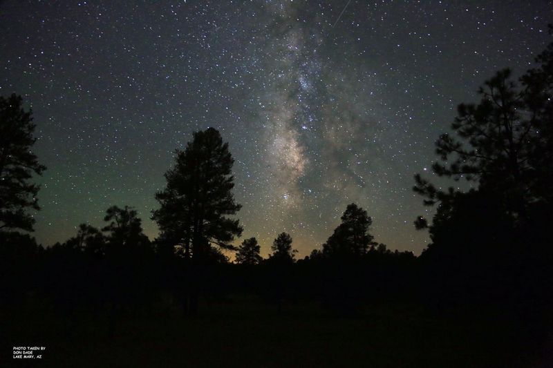 Night Photo.jpg