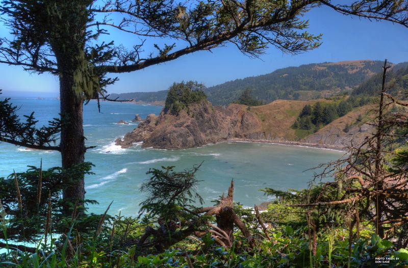 Oregon Coast 3.jpg