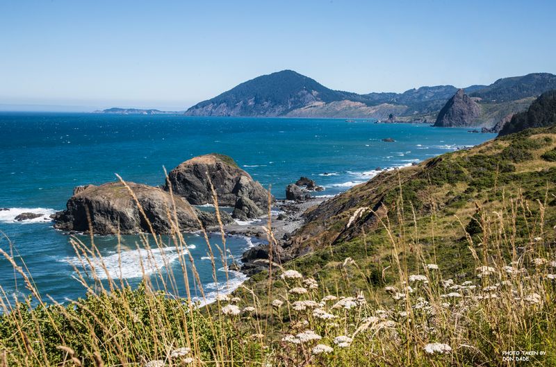 Oregon Coast 4.jpg