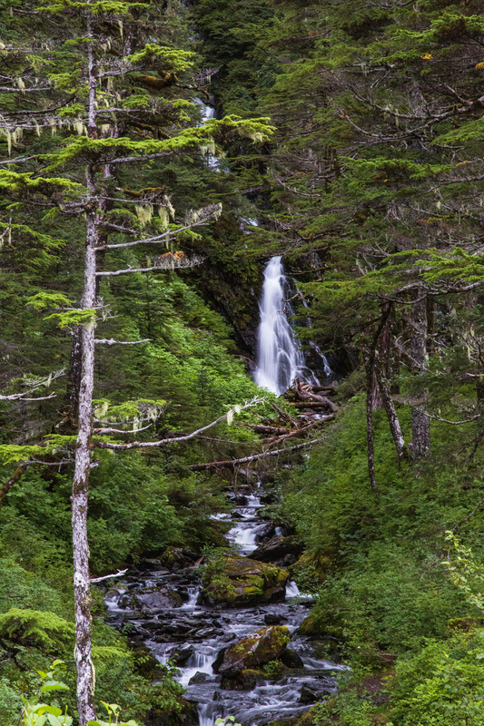 Salmon Creek Falls.jpg :: Salmon Creek Falls is off the roadside along Shotgun Cove Road out of Whittier Alaska.
I love the sounds of a waterfall cascading down the mountain side and flowing down the creek in front of me.
The feel of the mist of the crisp snow melted water spritzing across my face.
The steam perfectly accented by the different shades of green of the surrounding forest.
The stacks of fallen trees at the base of the falls are proof of the power of the falls in the spring run off.
And finally, the hint of wet moss hanging from the trees made this a grand spot to listen to nature.