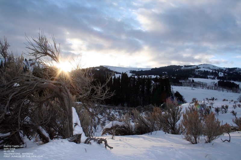 01-01-2008_First Sunrise Yellowstone Wy.jpg