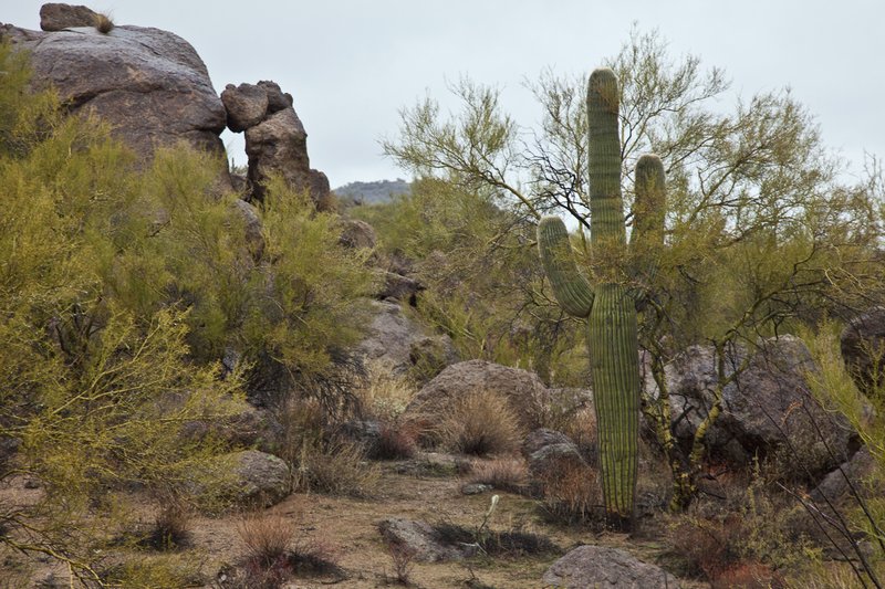 E Burro Creek.jpg