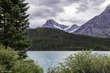__20260907 Crowfoot Glacier_Alberta Canada_DD_4502.jpg