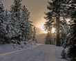 C06 -  2015 03 03 Yankee Meadows Snow Road.jpg