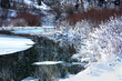 G-1 River Freeze(1).jpg