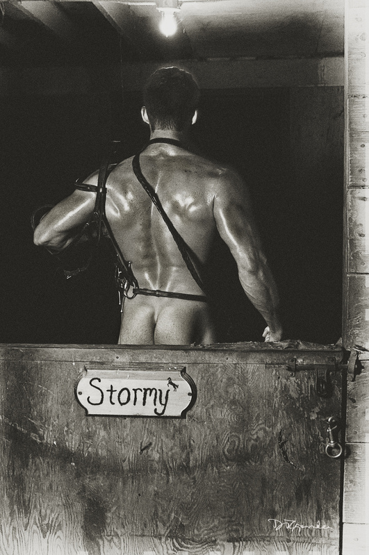 AG5019-AKA-STORMY-DANIEL-T-GRAMKEE.jpg