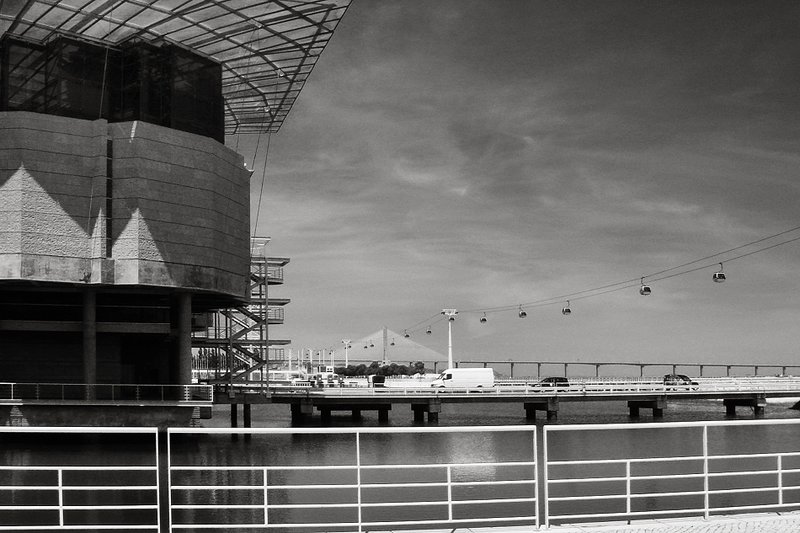 DSC02498.jpg ::                                