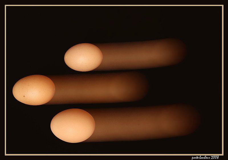 Egg-Celeration.jpg