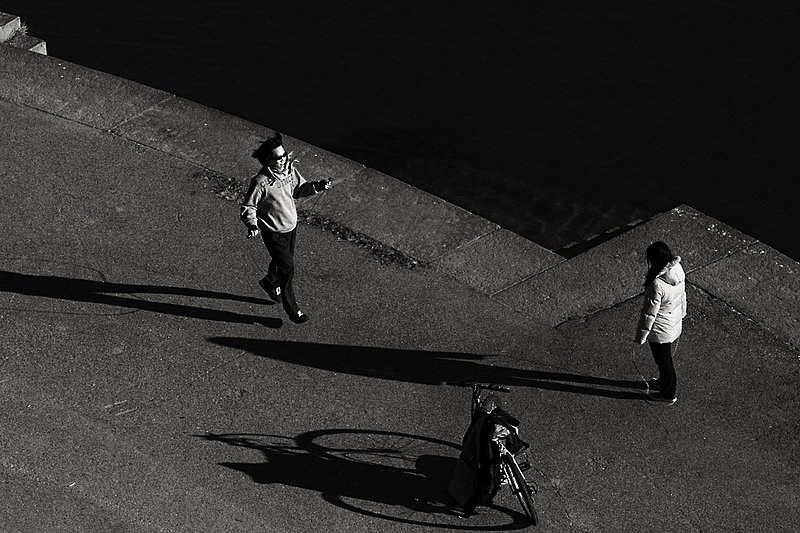 Friendly shadows     1071.jpg