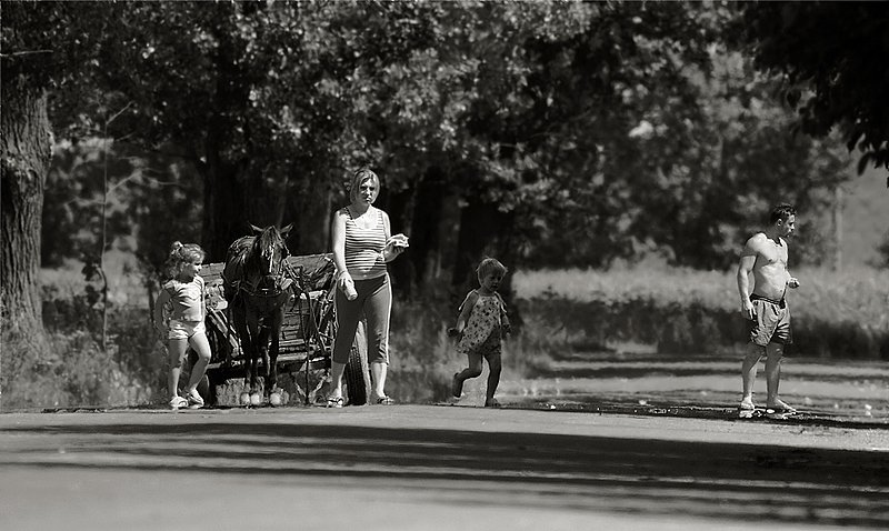 Glimpse of life    6763.jpg
