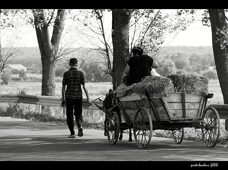 Goin' home.jpg