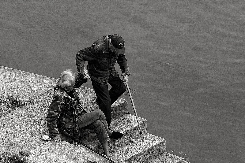 Helping Hand         8905.jpg