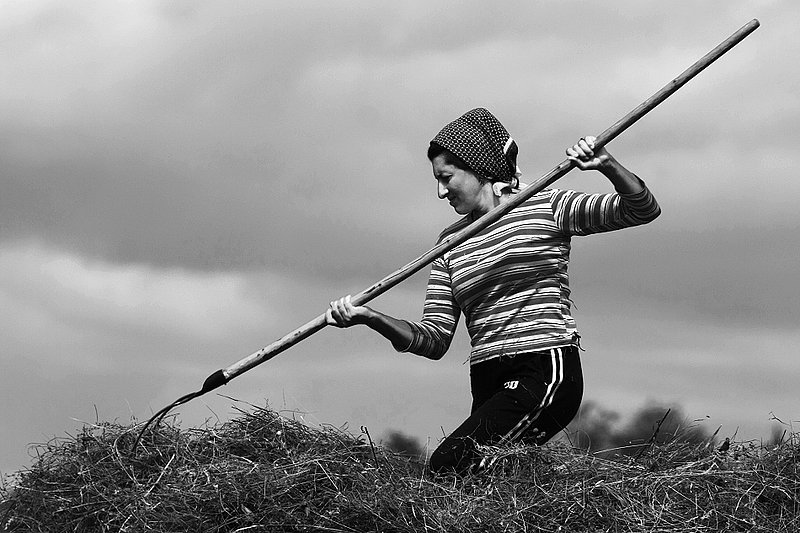 Heroic woman and her fork   7863.jpg