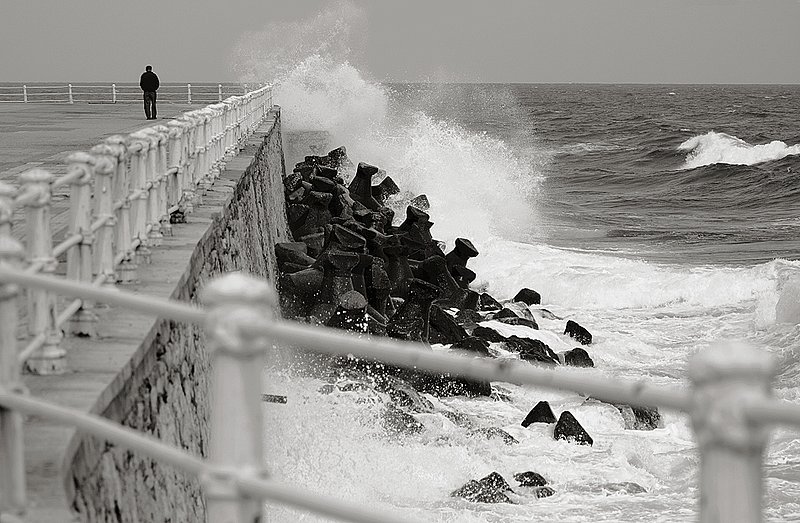 High and Dry 5116..jpg