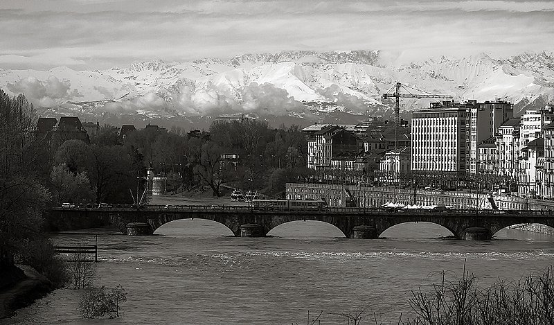 IMG_4240..jpg