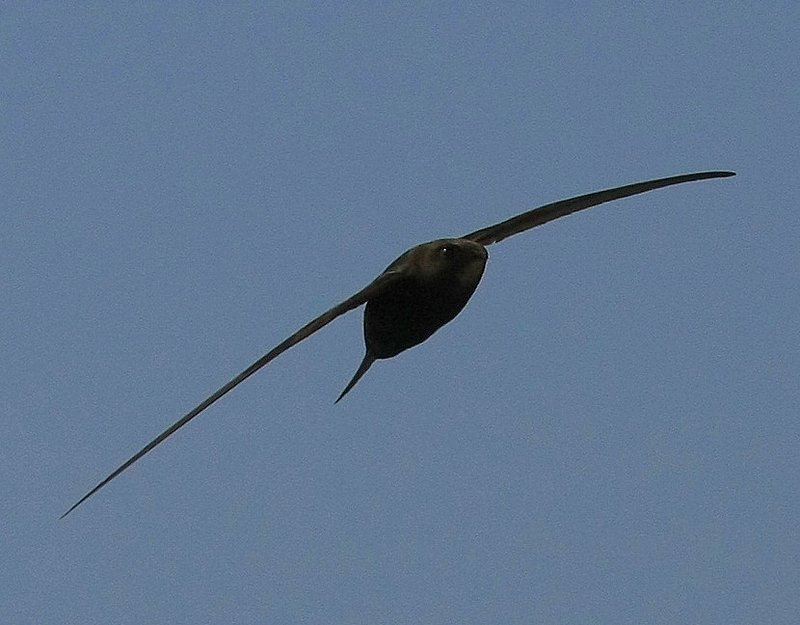 IMG_4849.jpg