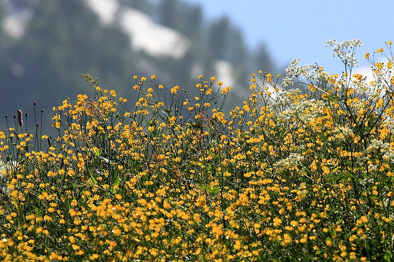 IMG_9101.jpg
