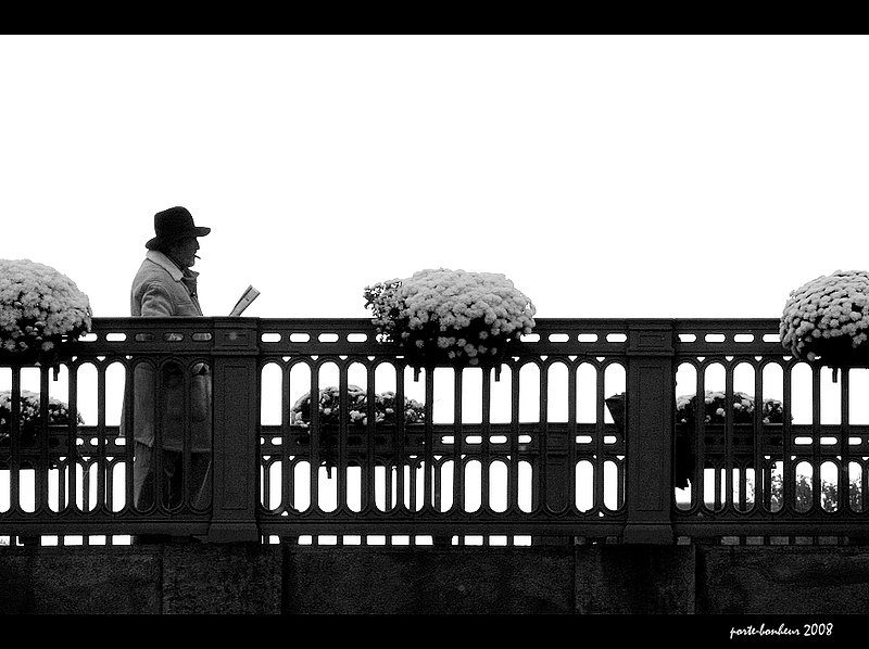 La Vita e Bella.jpg