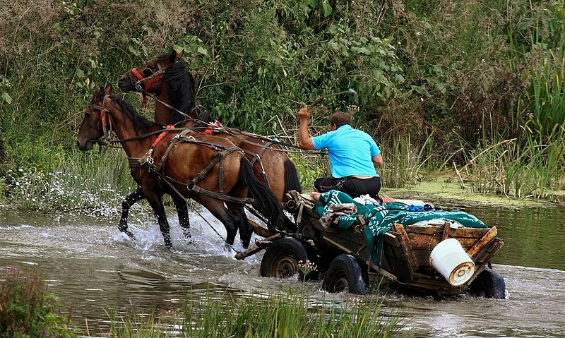 Many Rivers To Cross    8555fc.jpg