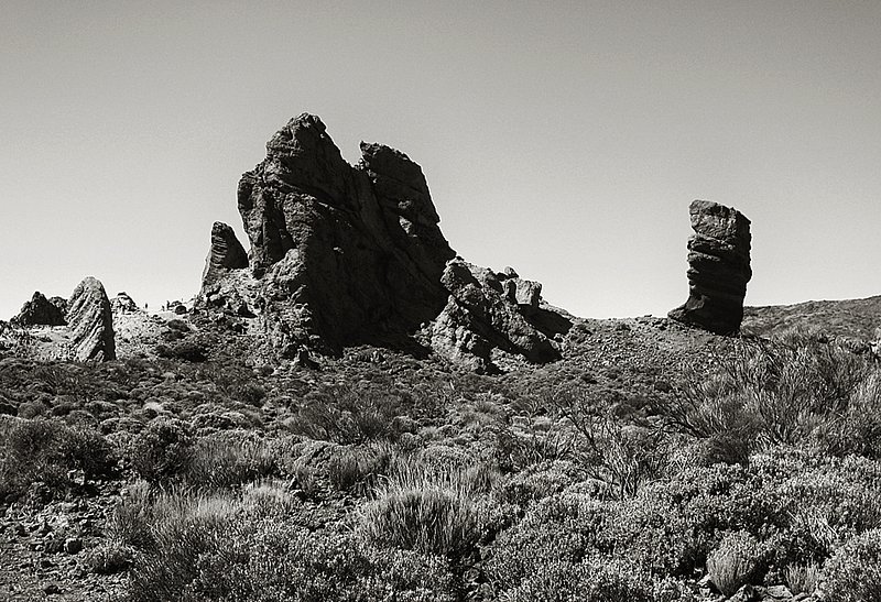 Morphology of a sleeping giant-2-                   IMG_2920.jpg