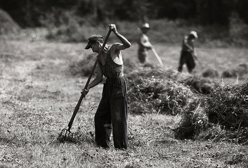 Moving tossing staking     7167ms.jpg