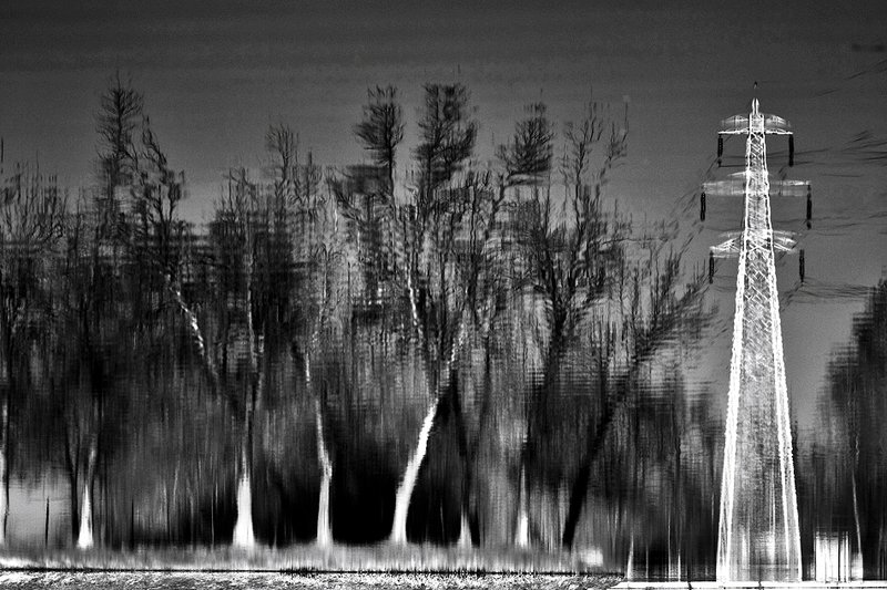 Reflections Downside Up         9845.jpg