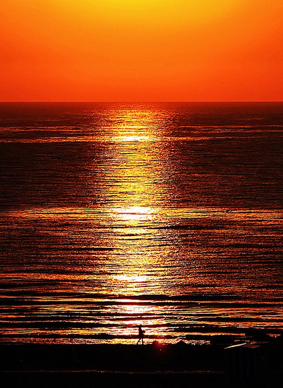 Sailors Delight-2-.jpg