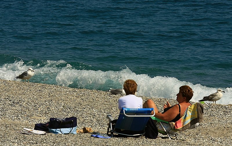 Seashore                0039.jpg
