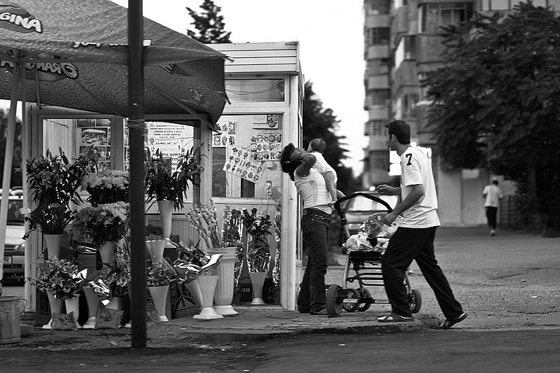 Sequences of life (2)                                                           IMG_8289.jpg