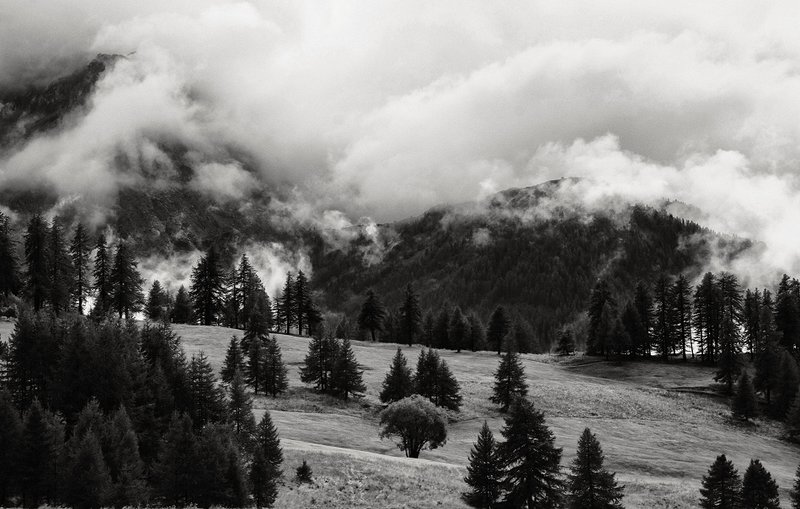 Steamy Mountains               0739.-.jpg