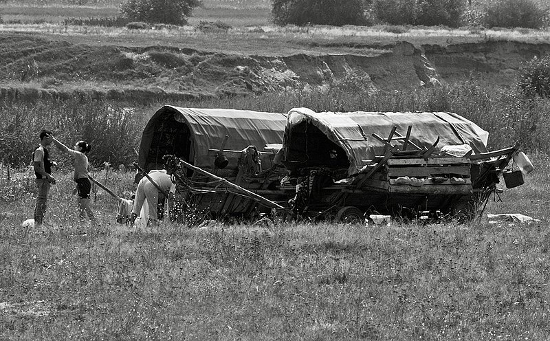 Vardos in the fields          7065.jpg