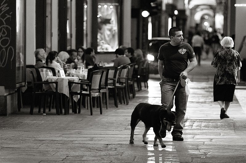 Walkin the Dog    0316t.jpg