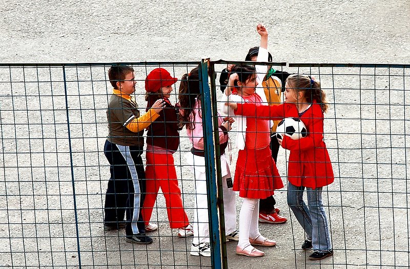 When Fences Don t Matter.jpg