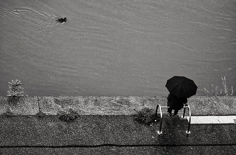 When It Rains....It Rains    9931ms.jpg