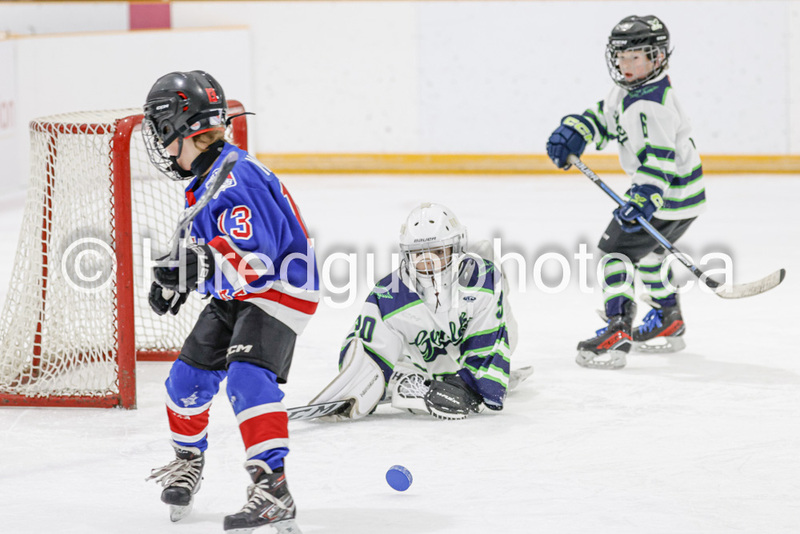 _GP_0793-U9 Oak Cougars.jpg