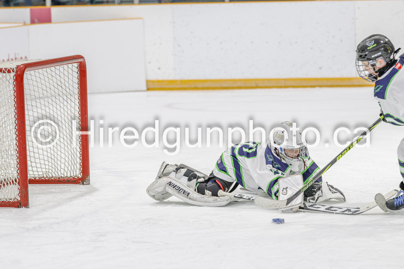 _GP_0859-U9 Oak Cougars.jpg