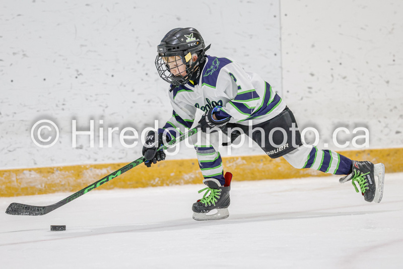 _GP_0963-U9 Oak Cougars.jpg