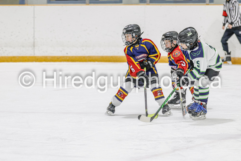 _gp_1687-U9 Oak Cougars.jpg