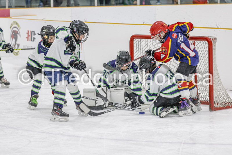 _gp_1728-U9 Oak Cougars.jpg