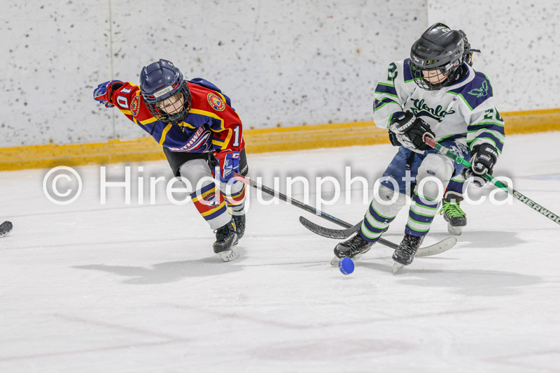 _gp_1731-U9 Oak Cougars.jpg