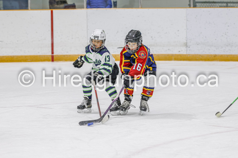 _gp_1784-U9 Oak Cougars.jpg