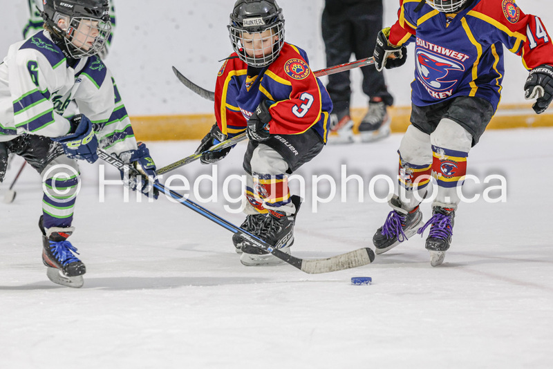 _gp_1840-U9 Oak Cougars.jpg