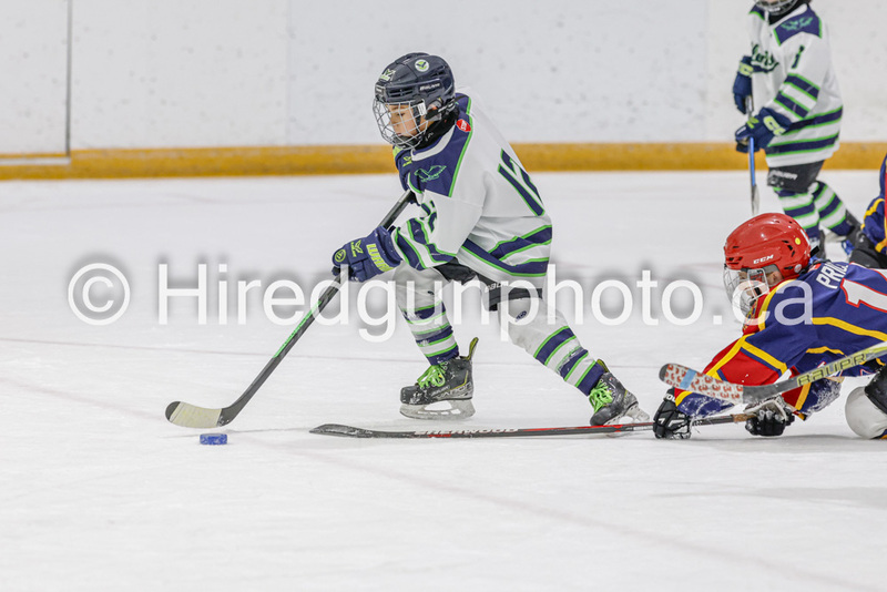 _gp_1842-U9 Oak Cougars.jpg