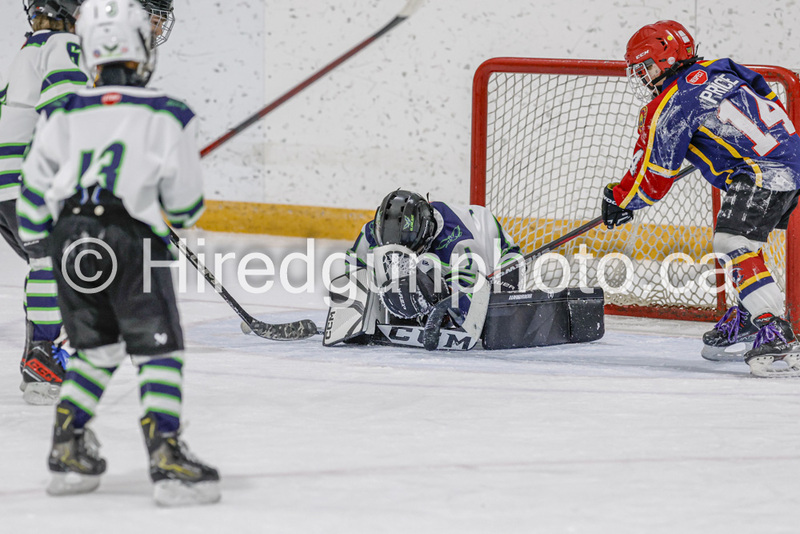 _gp_1859-U9 Oak Cougars.jpg