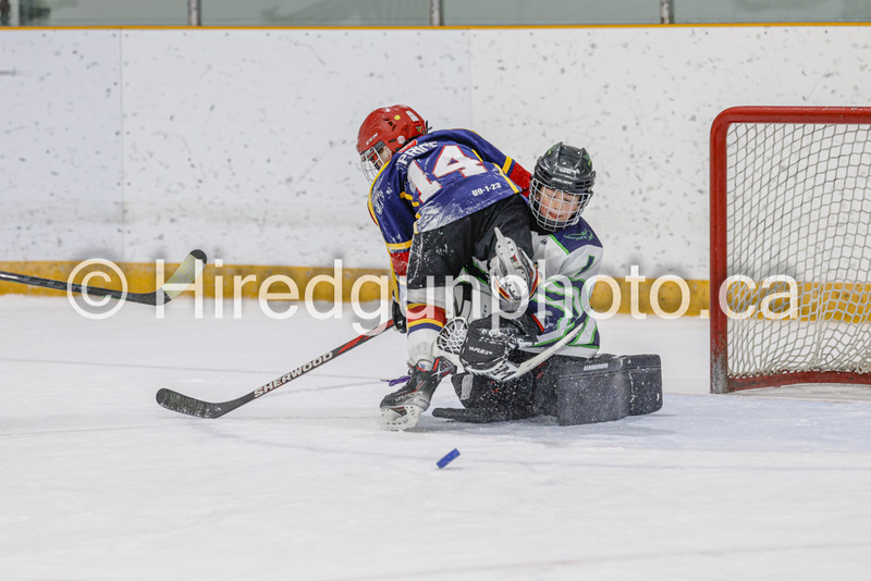 _gp_1867-U9 Oak Cougars.jpg