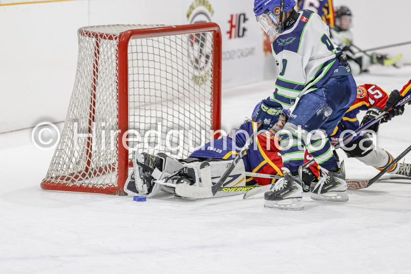 _gp_1876-U9 Oak Cougars.jpg