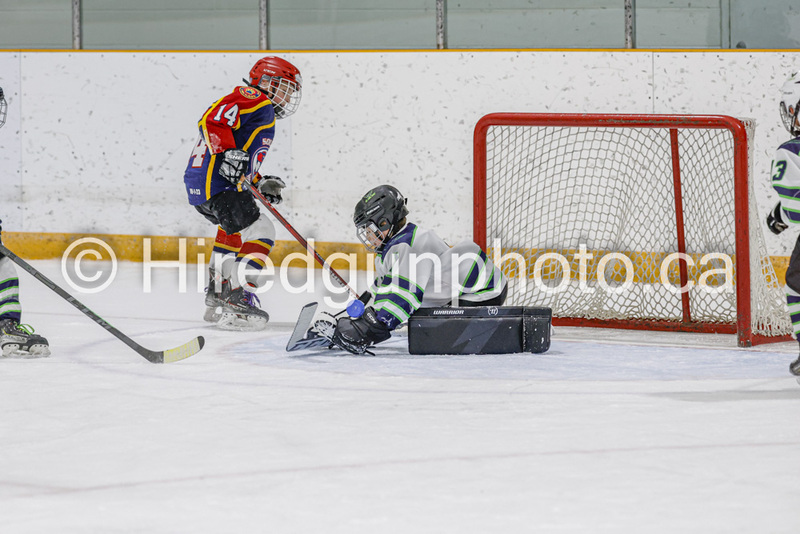 _gp_1887-U9 Oak Cougars.jpg